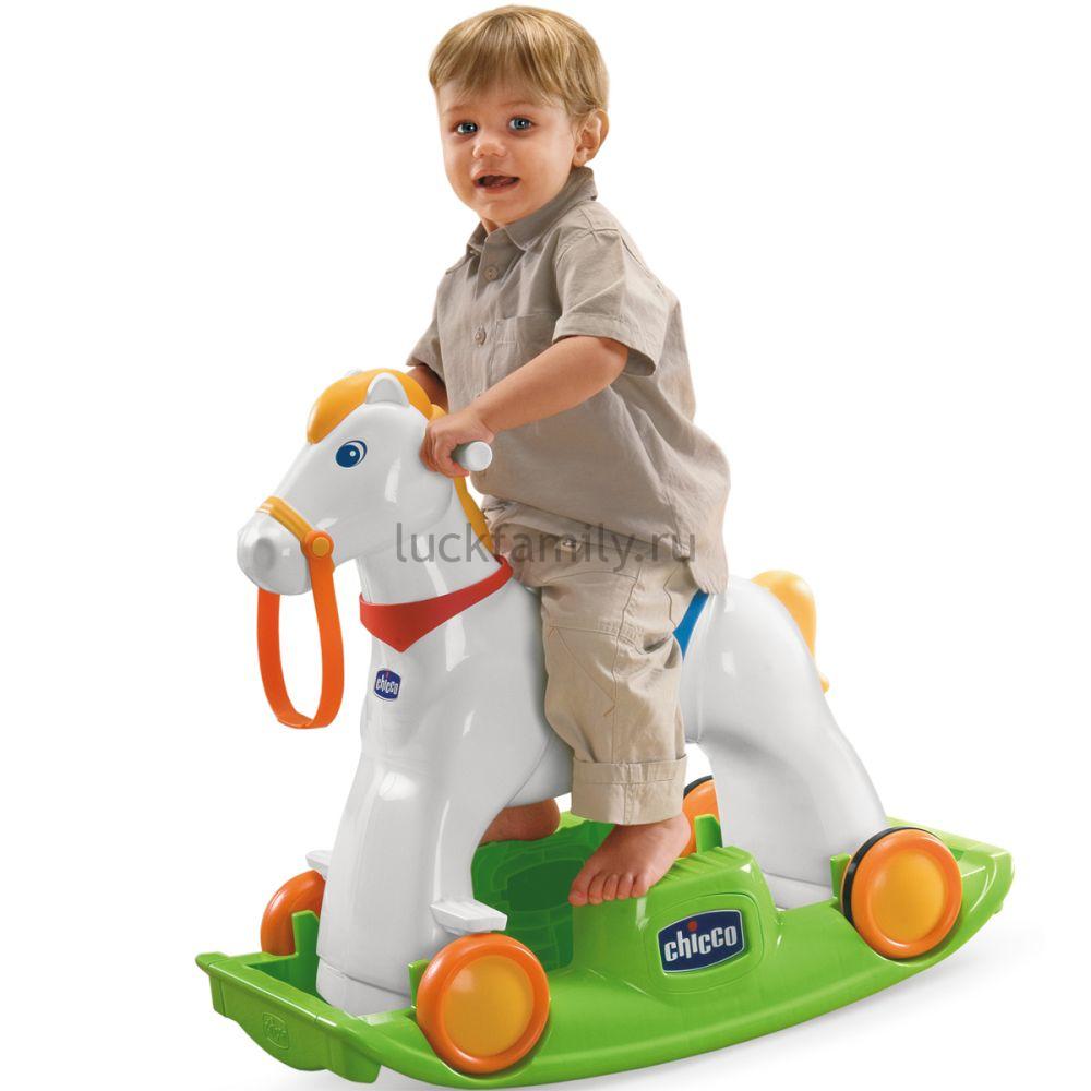 Лошадка Chicco Rodeo