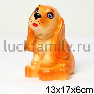 СОБАЧКА ДРУЖОК ― Luckfamily.ru