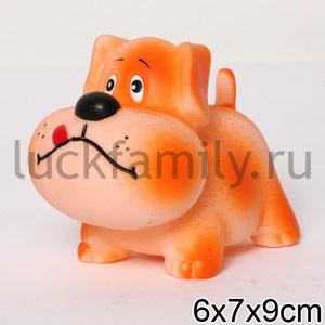 СОБАЧКА БАРБОС 1 ― Luckfamily.ru