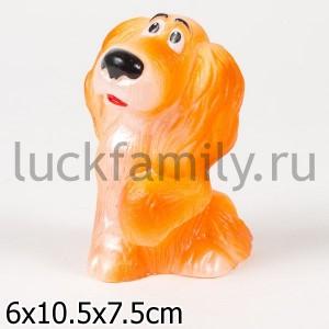 СОБАЧКА "ФИЛЯ" ― Luckfamily.ru