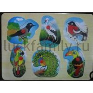 РАМКА-ВКЛАДЫШ ДЕРЕВЯН. "ИГРАЕМ ВМЕСТЕ" ПТИЦЫ A00964 29*21СМ в кор.36шт ― Luckfamily.ru