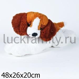 ЩЕНОК КАСПЕР 48СМ ― Luckfamily.ru
