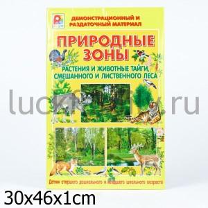 НАСТ. ИГРА "ПРИРОДНЫЕ ЗОНЫ: РАСТЕНИЯ И ЖИВОТНЫЕ ТАЙГИ, СМЕШАННЫХ И ЛИСТВЕННЫХ ЛЕСОВ" в кор.14шт ― Luckfamily.ru