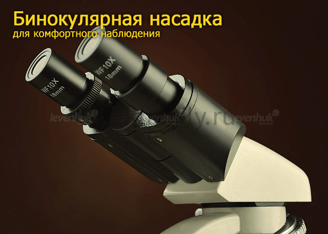 Биологический микроскоп LEVENHUK 595 