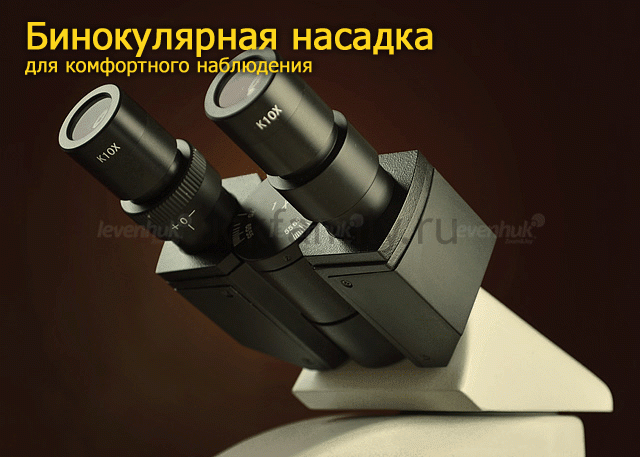 Бинокулярный медицинский микроскоп LEVENHUK 740 